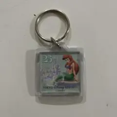 東京ディズニーリゾート アクリルキーホルダー