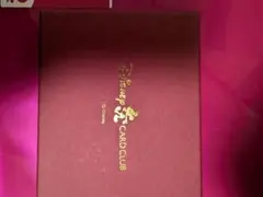 Disney jcb カードクラブ カードケースと付属品