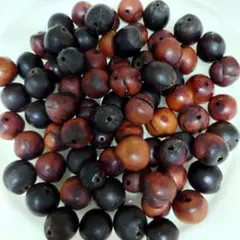 ムクロジの実104g