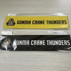 群馬クレインサンダーズ マグネット２点＆おまけ付き