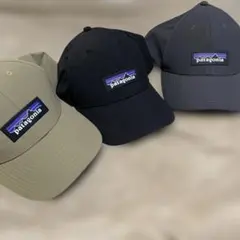 激レア Patagonia キャップ P-6 ロゴ チャンネル ウォッチャー - メルカリ
