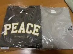 Item thumbnail for item 5ba1e48d-c466-4ba4-bd24-a17ade4dd66f