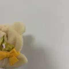ディズニー ユニベア シークレットポンチョ