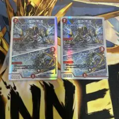 R.S.F.Ｋ オールインチャージャー 2枚セット
