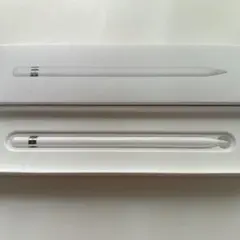 純正 Apple Pencil 第1世代 lightning USB-Cアダプタ