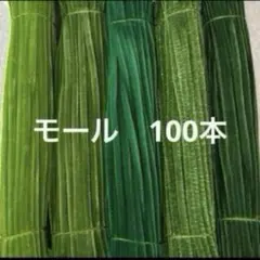緑系　モール