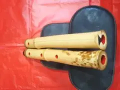 Item thumbnail for item 541cc7bf-da82-4796-bafe-a2093e28866a