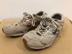 ナイキ ズーム エアー スポーツ ランニング ジョキング ジム 貴重 スニーカー