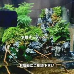 水槽オーダー用のサムネイル