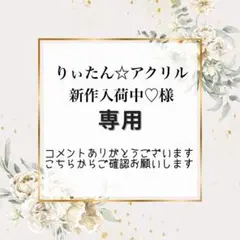 りぃたん☆アクリル新作入荷中♡様専用　宛名シール２点おまとめ