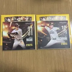 新品☆ ソフトバンクホークス トレーディングmini色紙 2枚セット正木智也