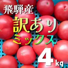 【訳ありミックス】飛騨産トマト 4kg 規格外 農家直送のサムネイル