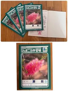 Item thumbnail for item 496ea40b-eb8a-4eff-b467-50ecf02dc7e7