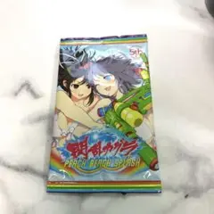 PS4 閃乱カグラ PEACH BEACH SPLASH 先着購入特典付