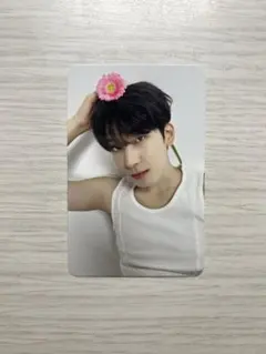 17 IS RIGHT HERE トレカ ウォヌ