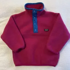Patagonia パタゴニア キッズ ヴィンテージ 古着 スナップT USA製