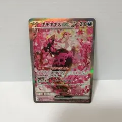 キチキギスex SAR【まとめ買い値引き対応】