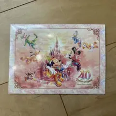 ディズニー40周年 写真台紙のみ