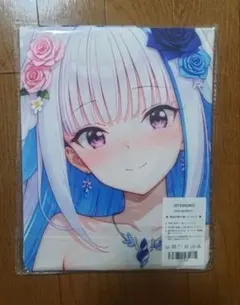 フェアリーテイル ジュビア クリアファイル アニメガ×ソフマップ フェアリーテイル ジュビア クリアファイル アニメガ×ソフマップ
