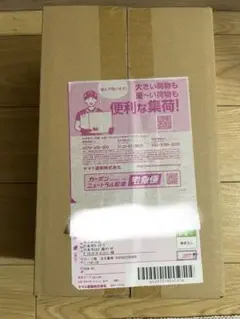 ポケモンセンター スペシャルBOX ヒロシマ