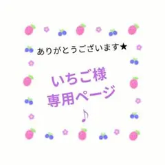 いちご様専用ページ