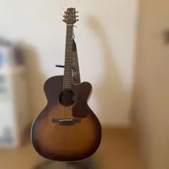 ワンオーナー品【TAKAMINE】 初期NPT-012BS　単板ハードケース付き ワンオーナー品【TAKAMINE】 初期NPT-012BS 単板ハードケース付き