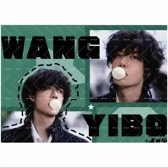 王一博 肖戦 博君一肖 アクリルスタンド　5点 セット❣️ 全5種セット】肖戦 王一博 陳情令 魏無羨 藍忘機 アクリル