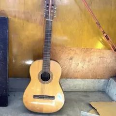 2025年最新】hashimoto ギターの人気アイテム - メルカリ