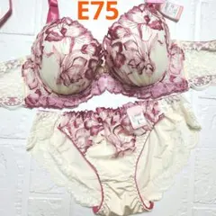 【新品未使用】ブラショーツセット E75 10556 ピンク×クリーム 脇高