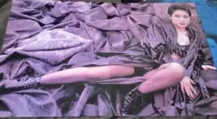 荻野目洋子　雑誌グラビア切り抜き