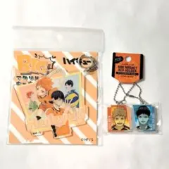 ハイキュー 日向翔陽 影山飛雄 アクキー2点 JUMP SHOP期間限定