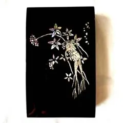 漆器 風景彫刻 母貝装飾 螺鈿 細工 硯箱 中国美術 2025年最新】螺鈿細工硯箱の人気アイテム - メルカリ