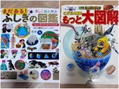 小学生向き19冊 図鑑 本 サバイバルシリーズ かいけつぞろりシリーズ