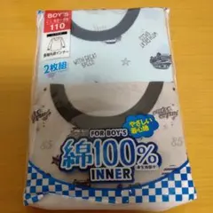 Item thumbnail for item c3a3e070-0a95-4c46-b4c3-bbe29fc1bef0