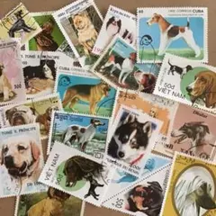 79978外国切手 ソ連発行 モスクワ動物園100周年記念 7種揃 - メルカリ