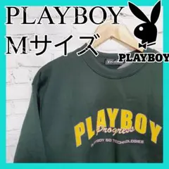 Item thumbnail for item 78eef69a-5e8e-4f4d-91ba-a6ed95fa2c7b