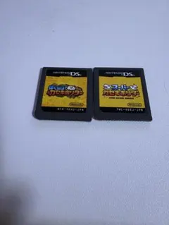 ニンテンドーDS ゲームソフト まとめ売り カセキホリダー 2本セット