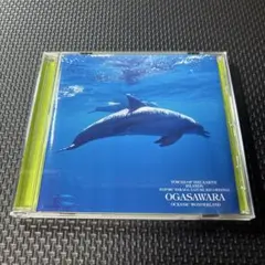 海洋の島,小笠原