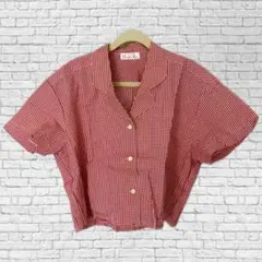 古着 レトロ ギンガムチェック 半袖シャツ 短丈 クロップド丈 赤のサムネイル