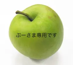 ぷーさま専用です♡