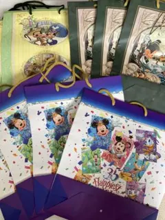 ディズニーホテル　紙袋　宿泊者限定　11枚セット