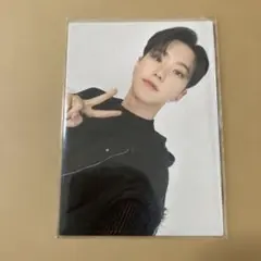 SEVENTEEN FOLLOW TO JAPAN セルカ トレカ ホシ