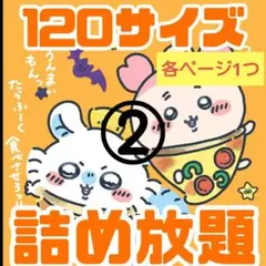 詰め放題　【120サイズ】②