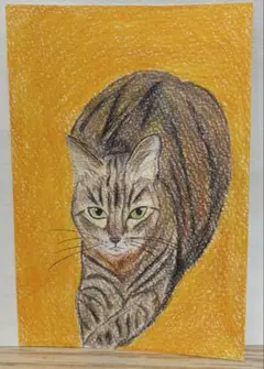 色鉛筆画A4 見上げる瞳 キジトラ猫 - メルカリ