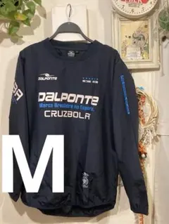 ダウポンチ ピステ