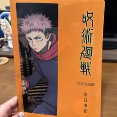 呪術廻戦 虎杖悠仁 A4クリアファイル