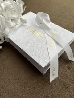 Dior 紙袋　ギフト袋　ラッピング小
