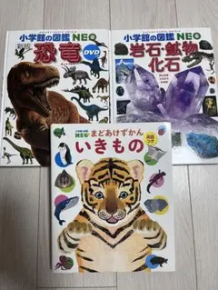【美品】まどあけ図鑑／いきもの（英語つき）