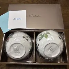 Noritake 陶器ボウル 2個セット