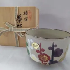 乾山写し菖蒲向付け　５客　木箱入り 乾山写し菖蒲向付け 5客 木箱入り